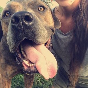 Meet your Posher, Cheryl